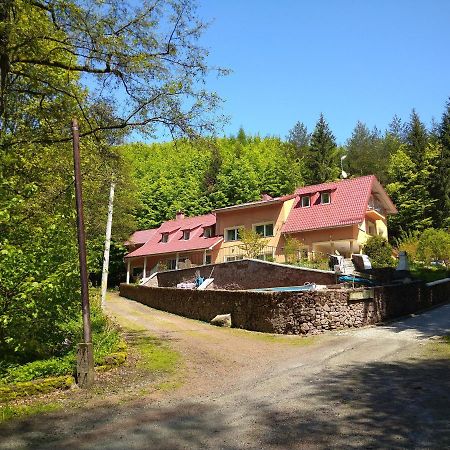 Dworek Lesny Kudowa-Zdrój Buitenkant foto