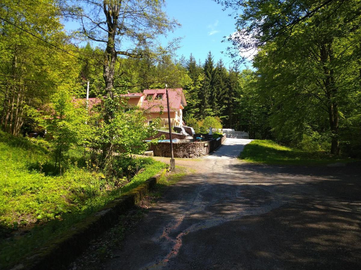 Dworek Lesny Kudowa-Zdrój Buitenkant foto