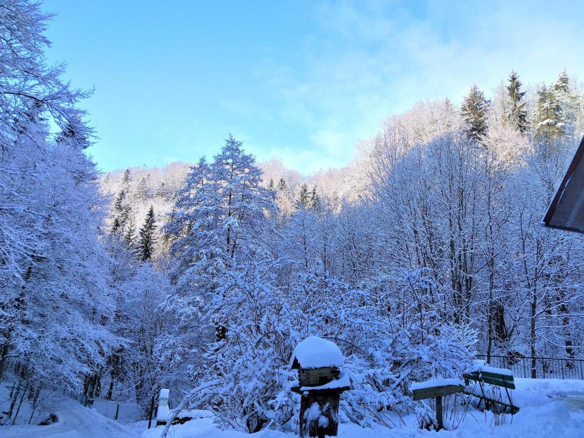 Dworek Lesny Kudowa-Zdrój Buitenkant foto