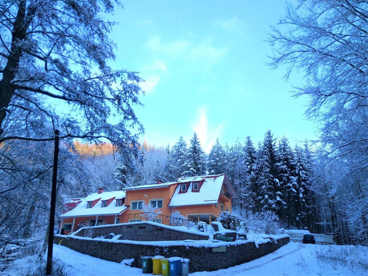 Dworek Lesny Kudowa-Zdrój Buitenkant foto