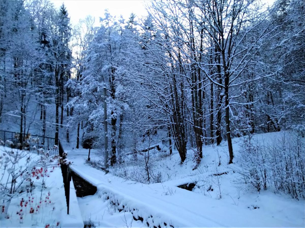 Dworek Lesny Kudowa-Zdrój Buitenkant foto